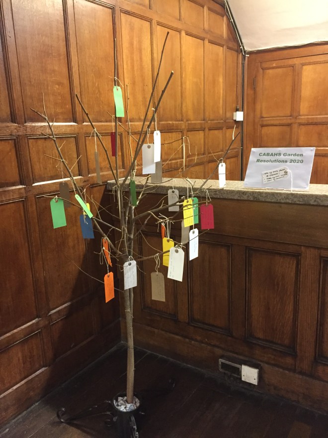 CABAHS tree of 2020 resolutions