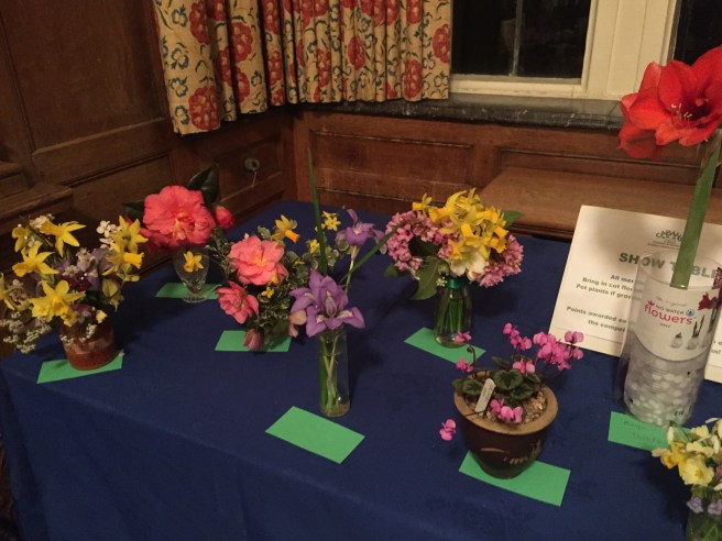 February 2020 CABAHS show table