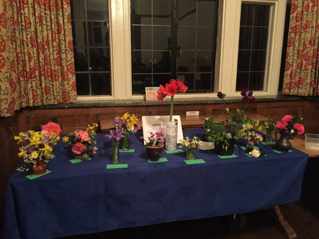 February 2020 CABAHS show table