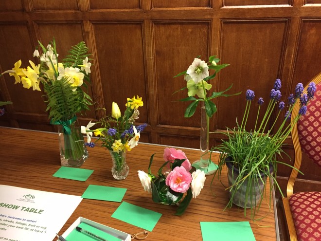 March 2020 CABAHS show table