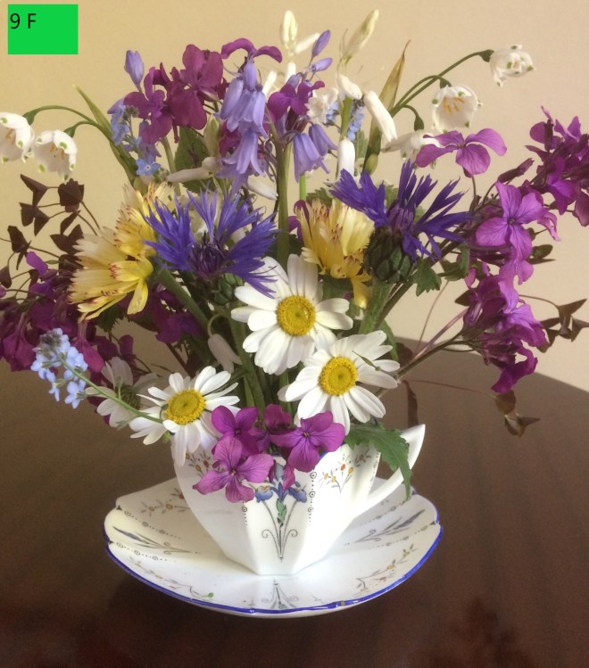 CABAHS Online Spring Show 2020