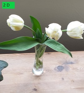 CABAHS Online Spring Show 2020