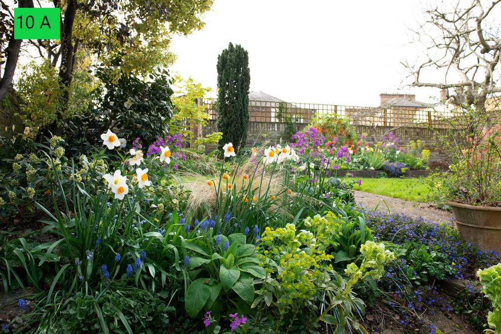 CABAHS Spring Show 2020: Best in Show photograph, by Faith