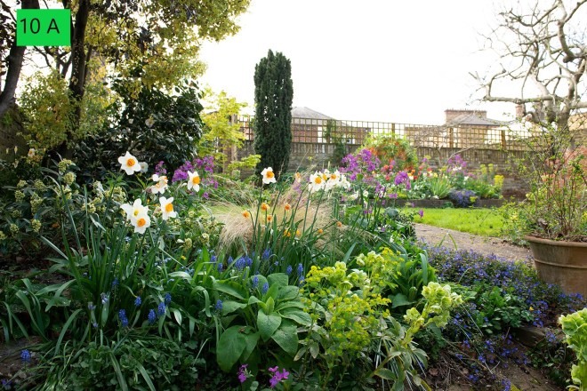 CABAHS Spring Show 2020: Best in Show photograph, by Faith