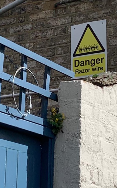 plant growing against the odds