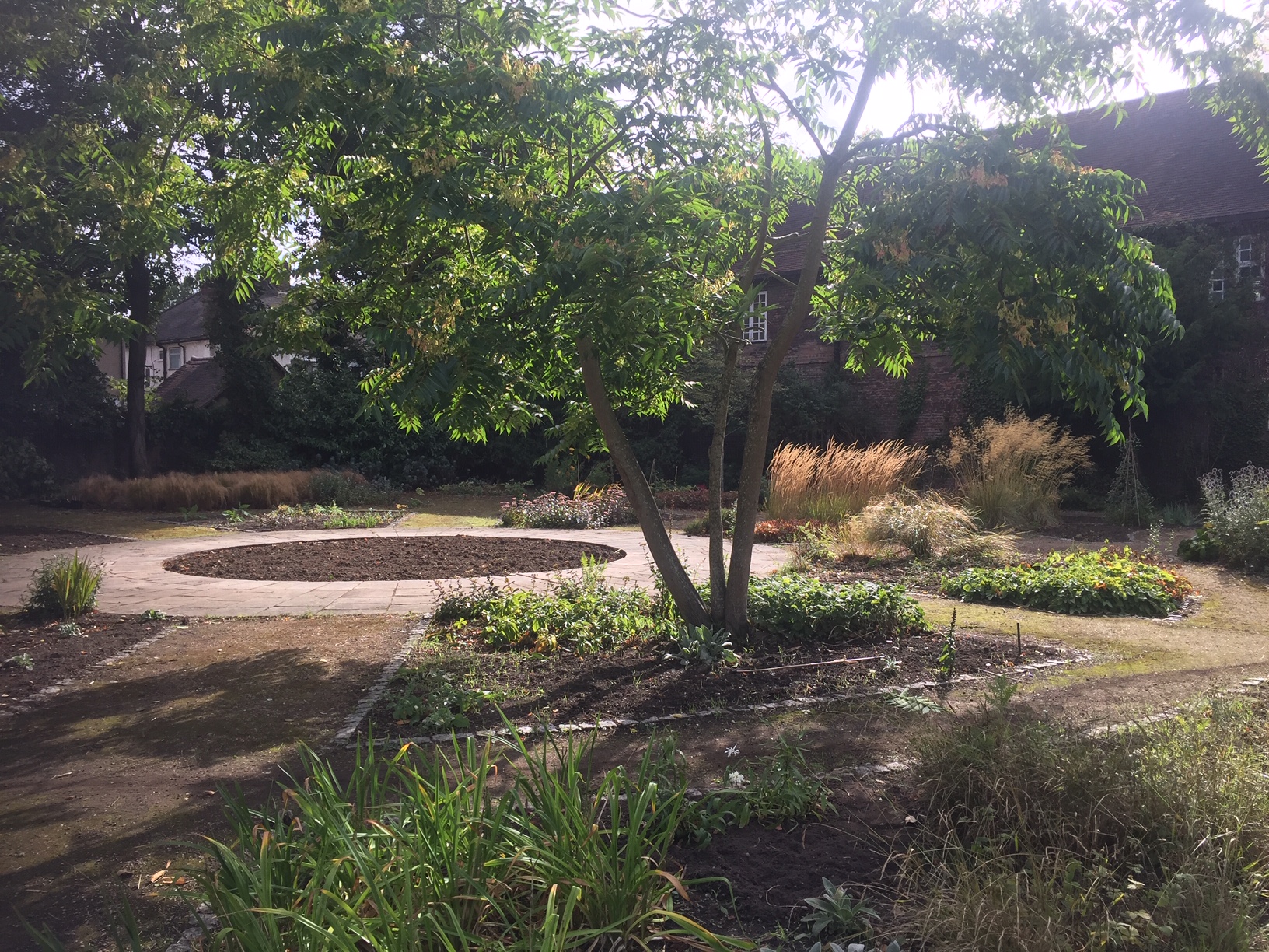 Old Pond Garden, August 2020