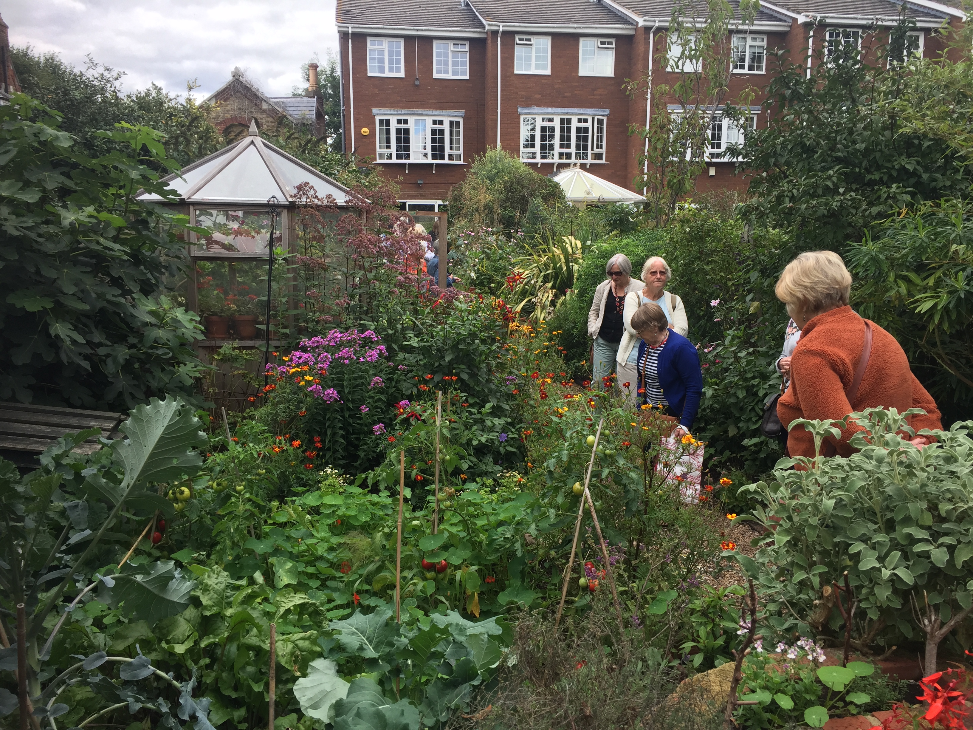 This image has an empty alt attribute; its file name is vija5.jpg