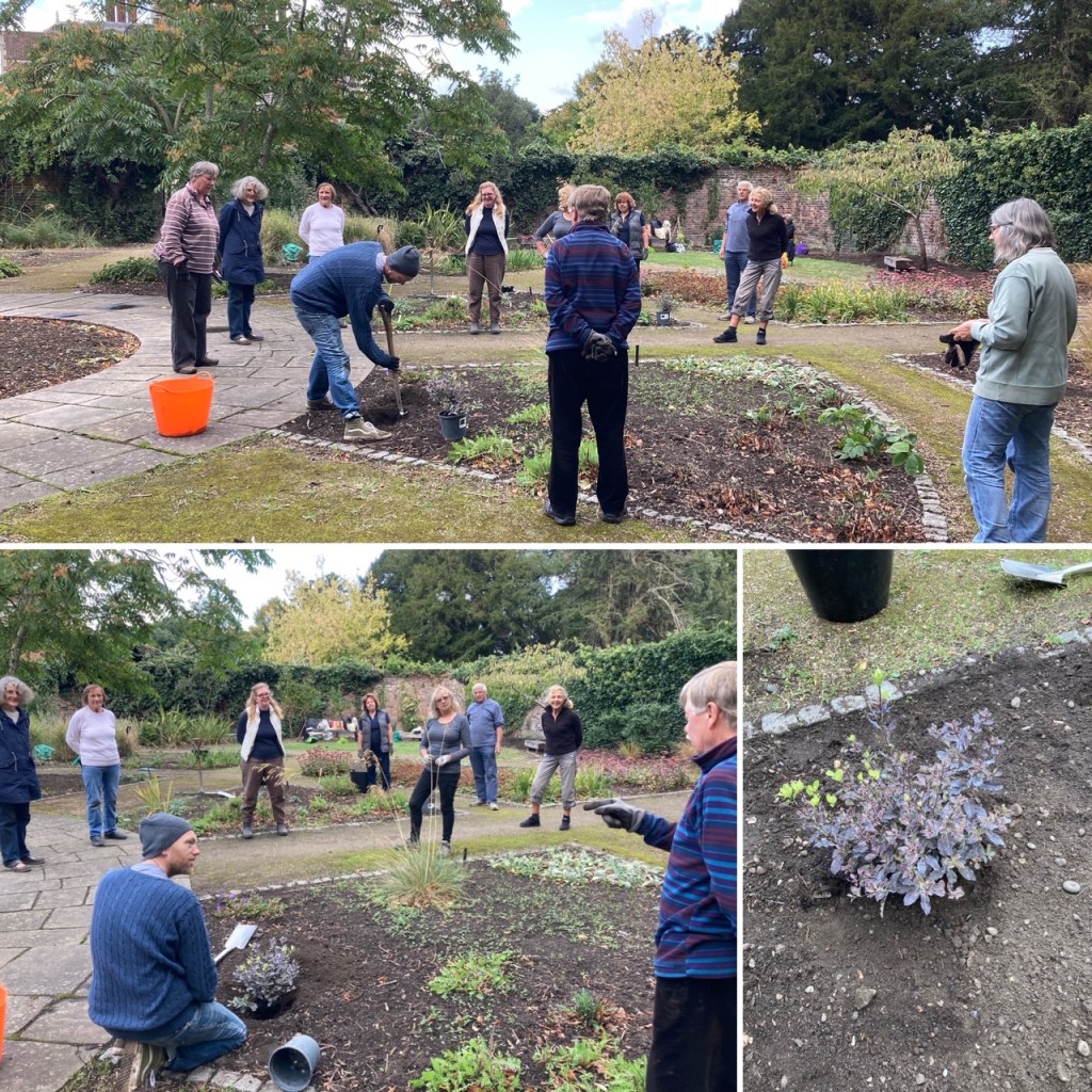 CABAHS volunteers in the Old Pond Garden, Charlton House, September 2020