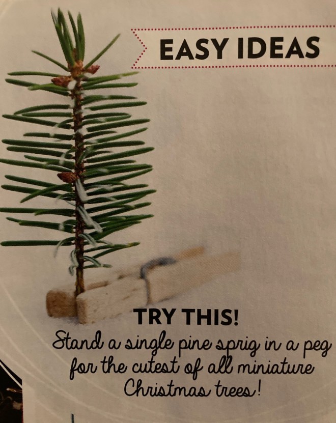 Homemade Christmas decorations