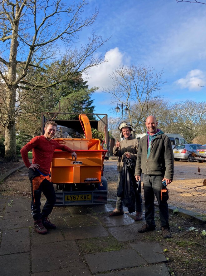 Tree surgeons at Charlton House gardens, February 2021