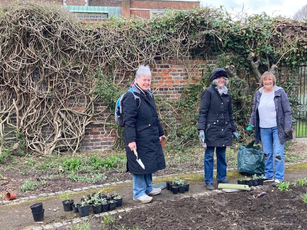 CABAHS volunteers - the potting up team, in the Old Pond Garden, Charlton House, March 2021