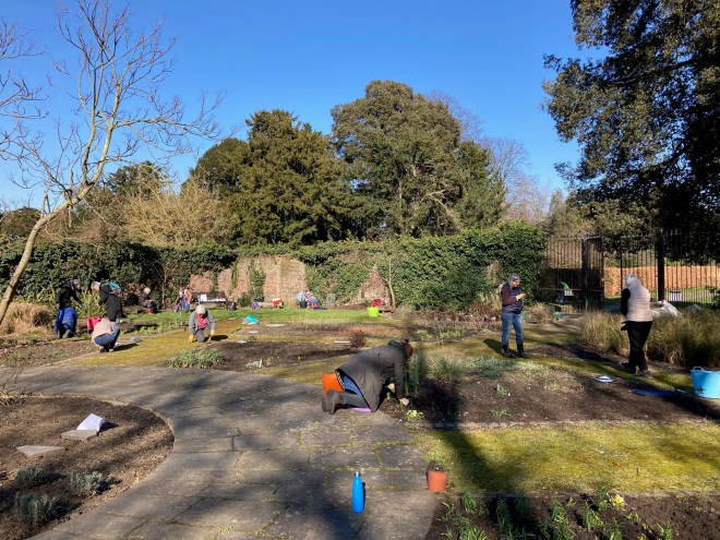 CABAHS volunteers in the Old Pond Garden, Charlton House, March 2021