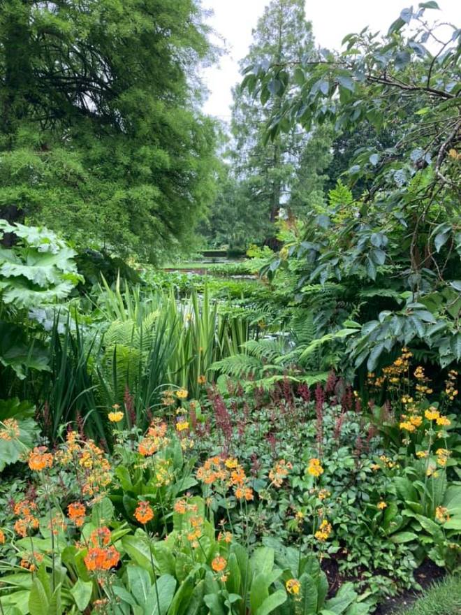 Beth Chatto's garden, June 2021