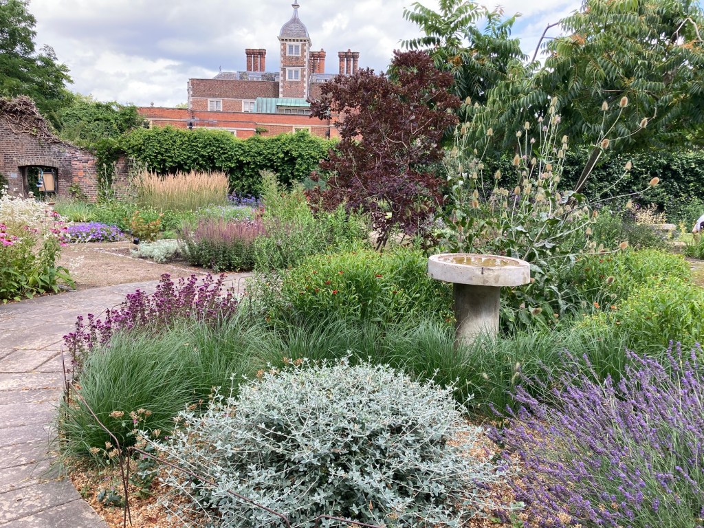 Old Pond Garden, Charlton House, August 2021
