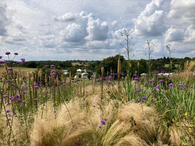 RHS Hyde Hall, August 2021