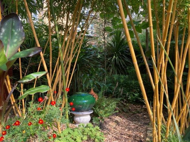 Grove Park Open Garden, September 2021
