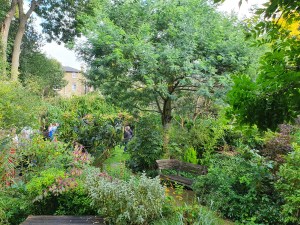 Oakcroft Road open garden, October 2021
