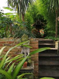 Grove Park Open Garden, September 2021