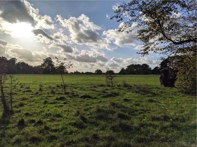 Looking across Avery Hill Park, late afternoon October 2021
