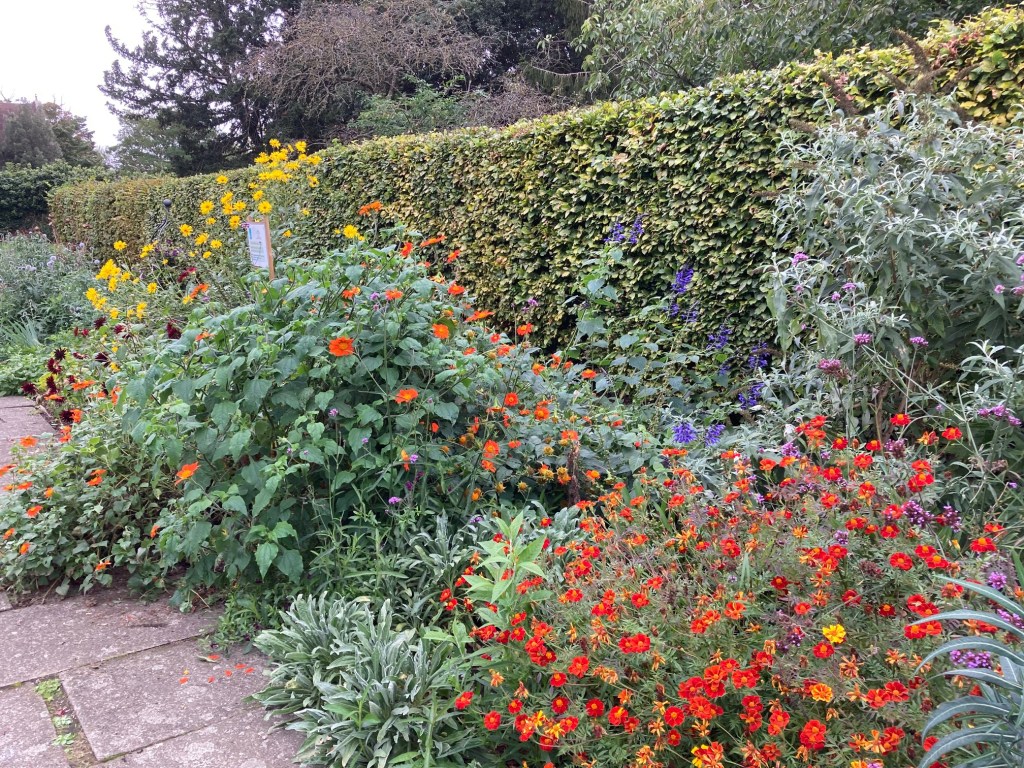Charlton House gardens - Long Border, September 2021