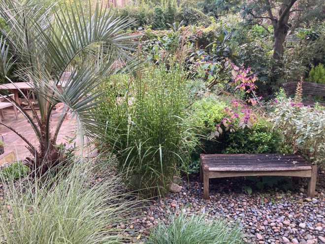 Oakcroft Road open garden, October 2021