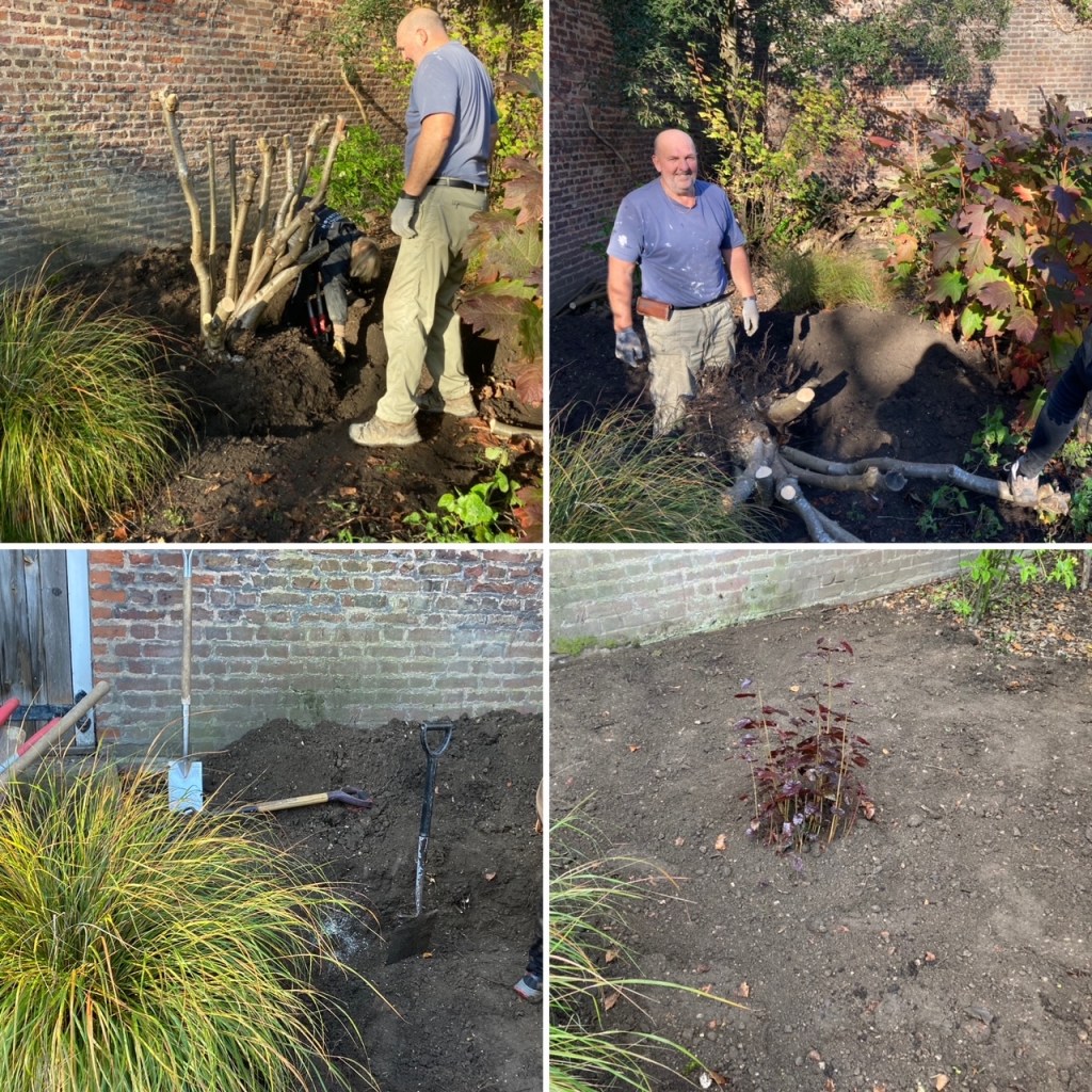 This image has an empty alt attribute; its file name is 1dda9e7d-e3a1-407c-8cb1-1fd4cd86cd0a.jpg