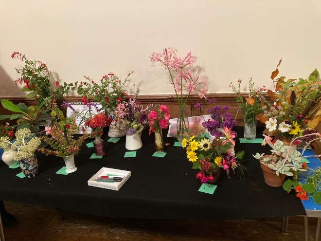 plant and flower display
