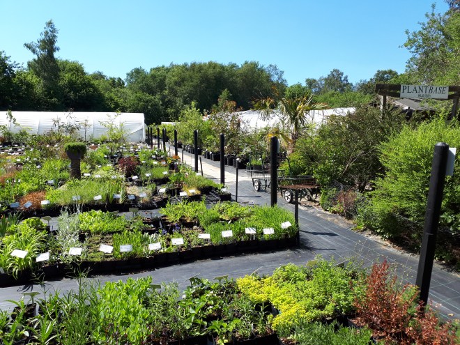 Plantbase Nursery in East Sussex