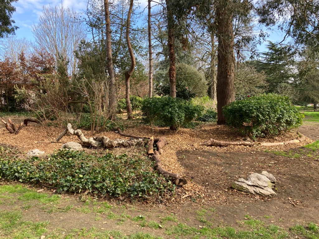 Wooded glade, Gunnersbury Park 2022