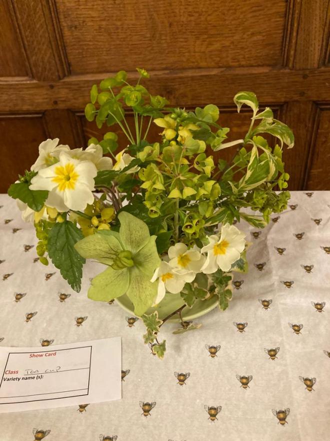Class 9 Tea Cup floral display