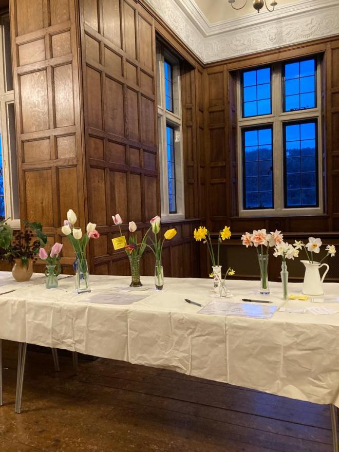 Entries for Classes 1 & 2 Daffodils and Tulips