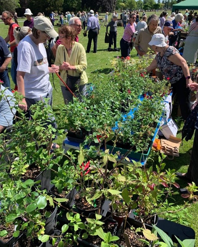 Plant Stall at Community Day May 2022