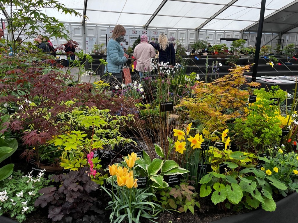 The Hardy Plant Society built a wonderful display.