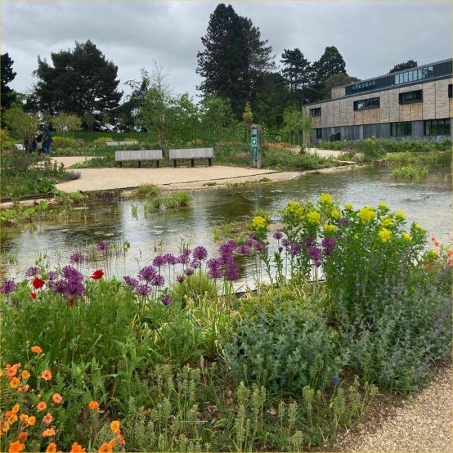 RHS Wisley Wildlife Garden May 2022