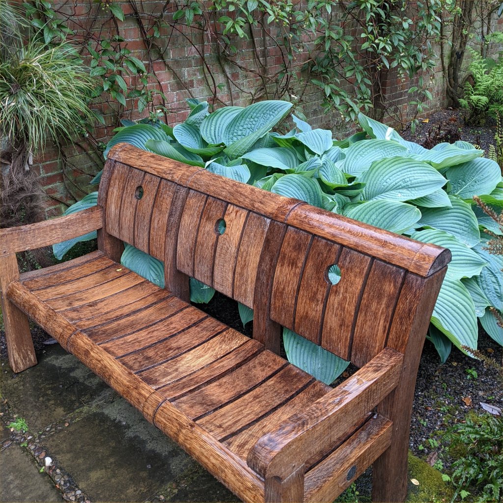 Hosta 'Empress Wu' at RHS Wisley May 2022