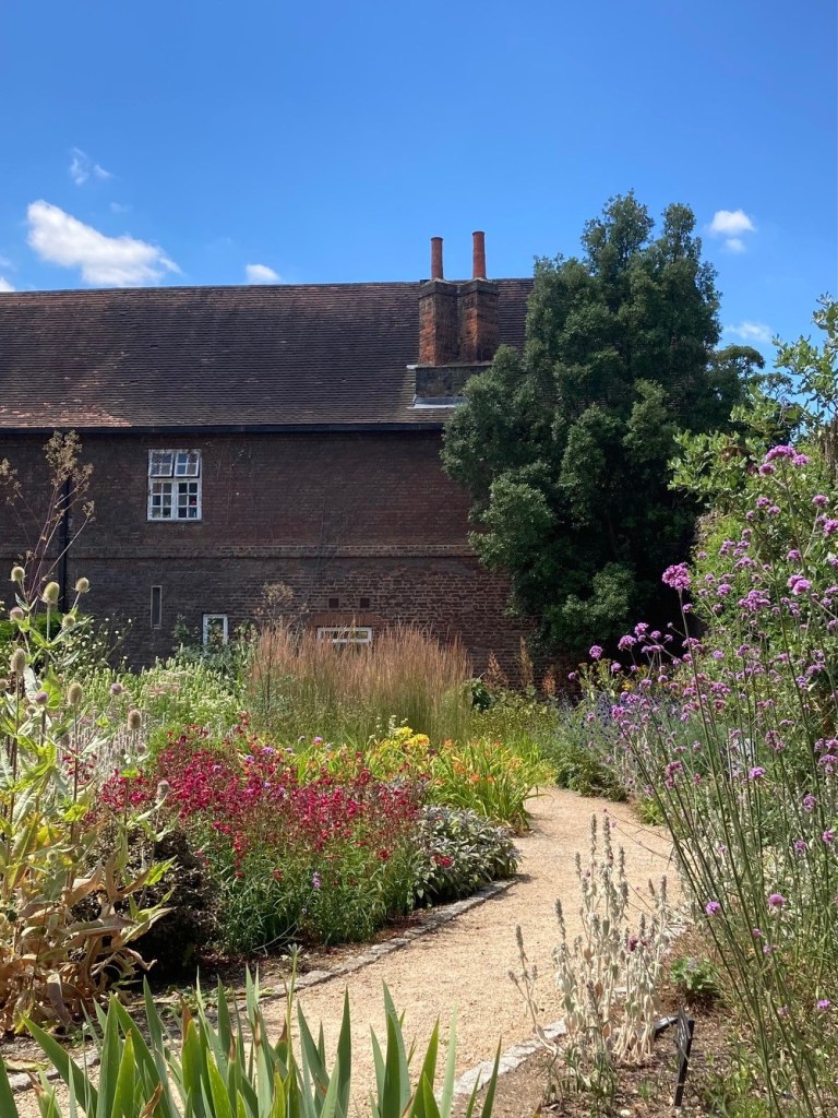 Garden path planting