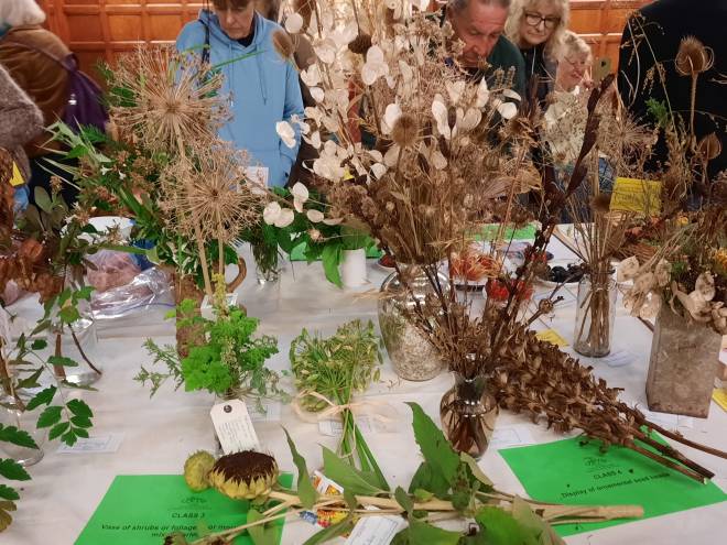 Class 4. Display of ornamental seed heads