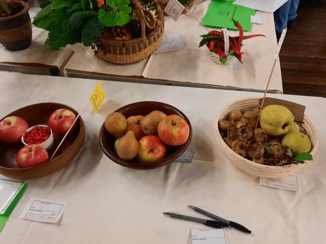 Class 7. Display of fruit