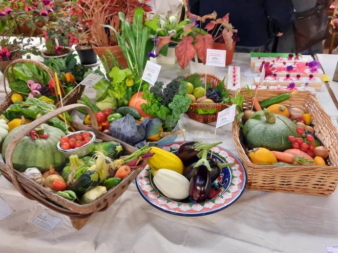 Class 8. Display of vegetables