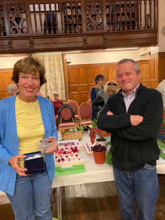 Winner of Class 5 (Fuchsia)