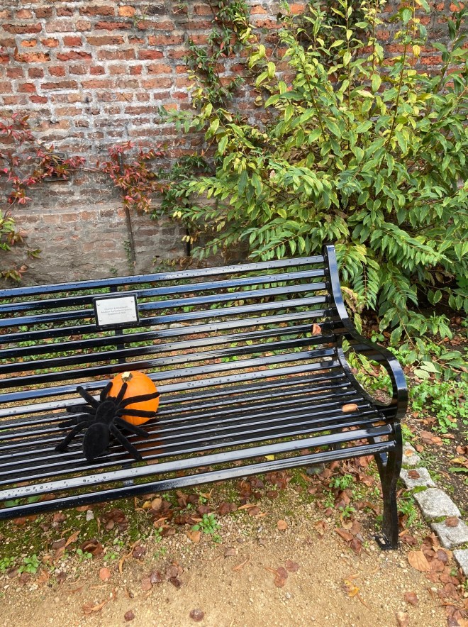 CABAHS bench and spider