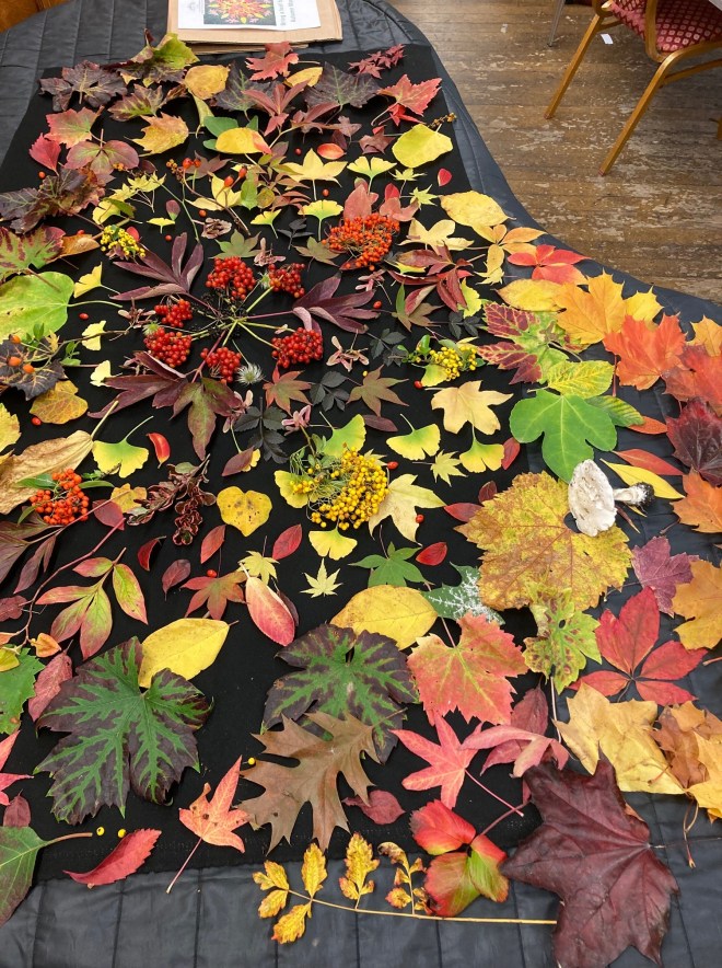 October 2022 Mandala of members' leaves on piano