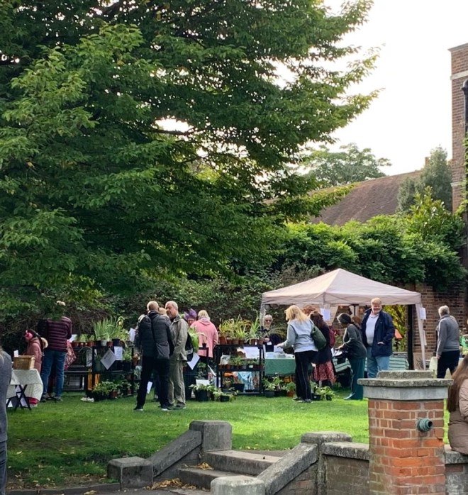 CABAHS plant stall view 3