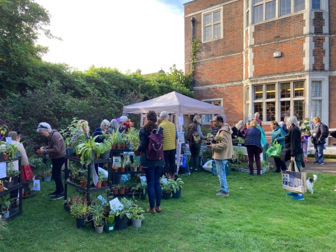 CABAHS plant stall view 2