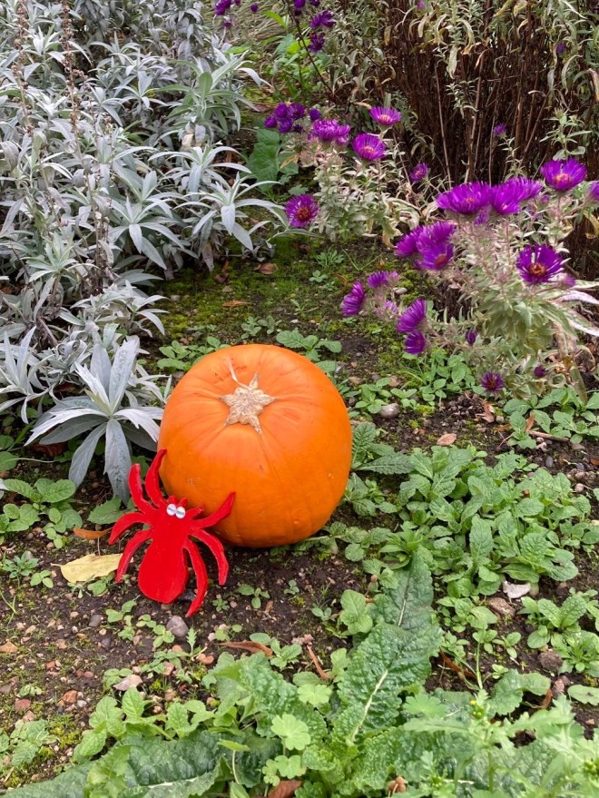 Pumpkin and spider in Old Pond Garden