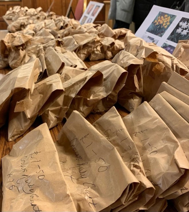 October 2022 Bulbs for Sale