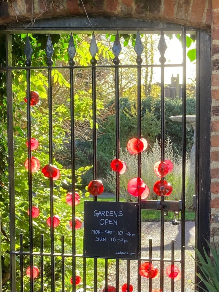 Poppies on gates