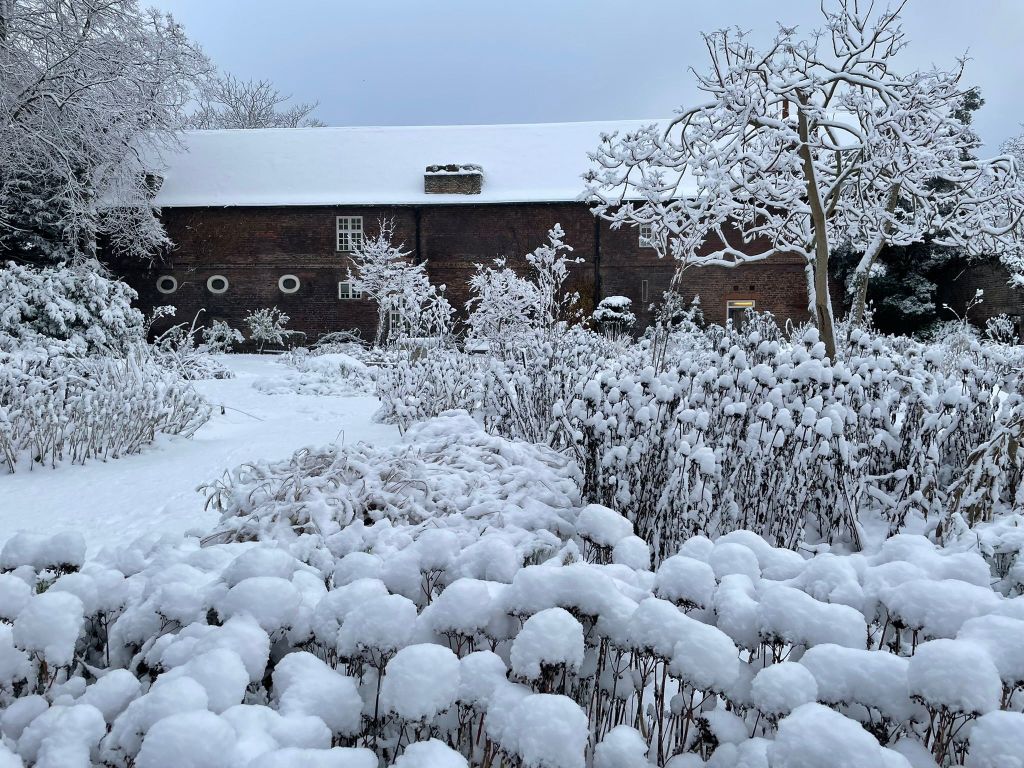 Old Pond Garden in snow