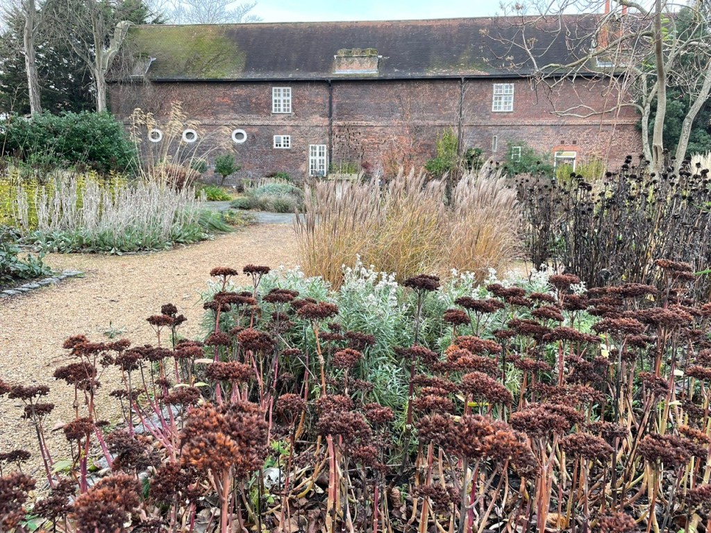 Seedheads in the OPG