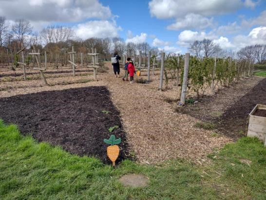 Searching for carrots in the vegetable garden as part of the Easter Trail